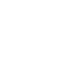 flagtown